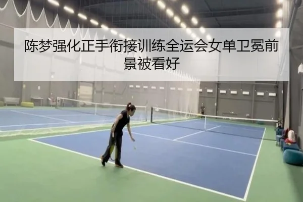 陈梦强化正手衔接训练全运会女单卫冕前景被看好 | kaiyun